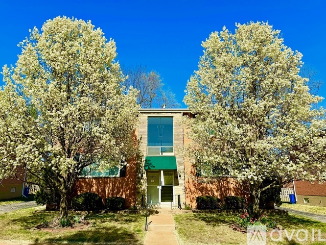 A building with a green awning is surrounded by flowering trees.
