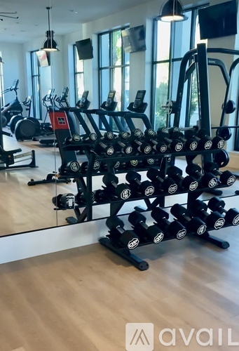 A gym with a variety of equipment including a dumbbell rack.