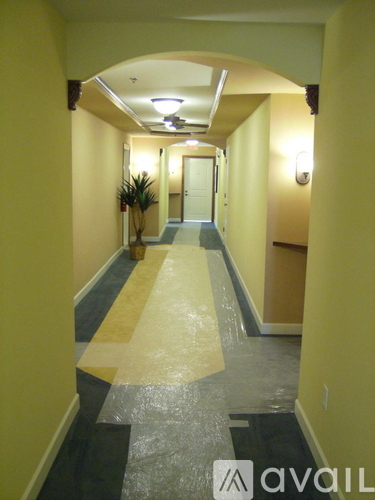 A long hallway with a plant in the middle.
