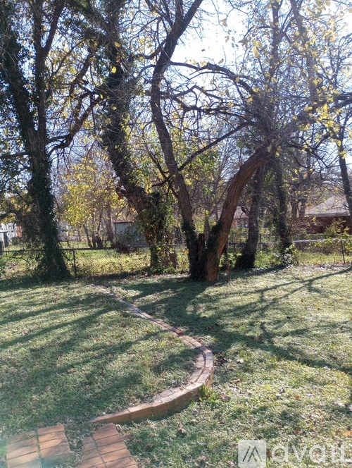 A tree with a pathway in the middle of a grassy area.