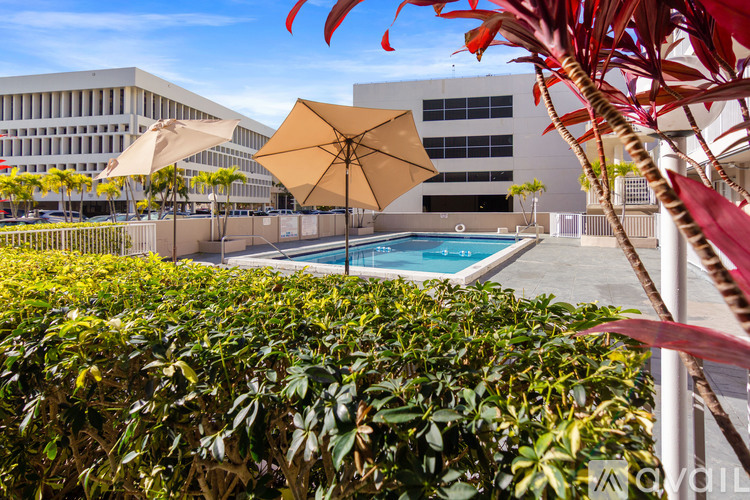 A pool surrounded by bushes and umbrellas.