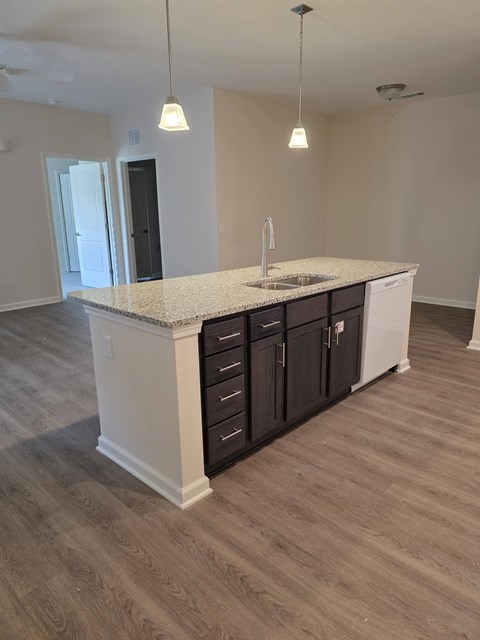 A kitchen with a sink, dishwasher, and cabinets.
