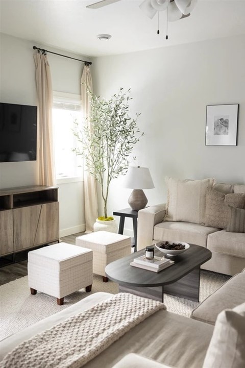 A living room with a couch, a coffee table, and a plant.