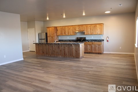 A kitchen with wooden cabinets and a countertop is available for rent.