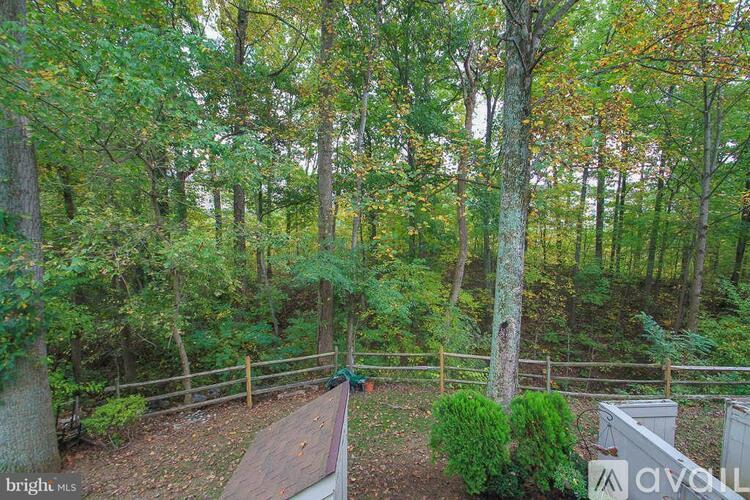A wooded area with a fence and a bench.