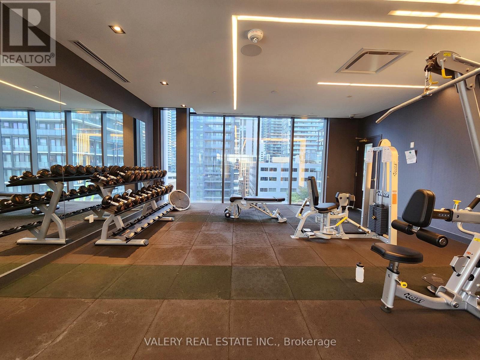 A gym with a row of treadmills and a row of dumbbells.
