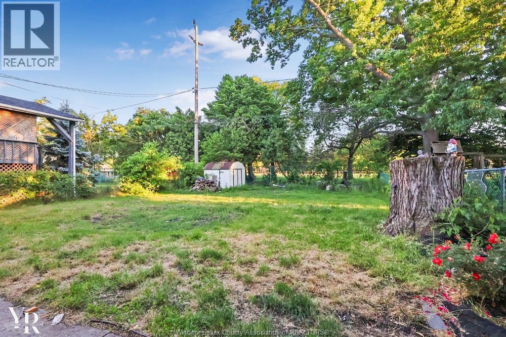 A backyard with a tree stump and a shed.