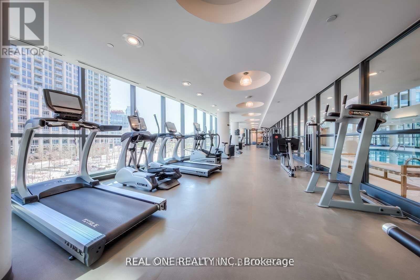 A gym with treadmills and elliptical machines.