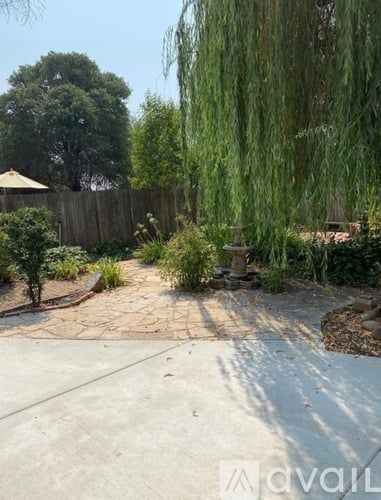 A wooden deck with a railing and a tree branch in the foreground.