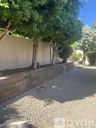 A row of trees are lined up next to a wall.