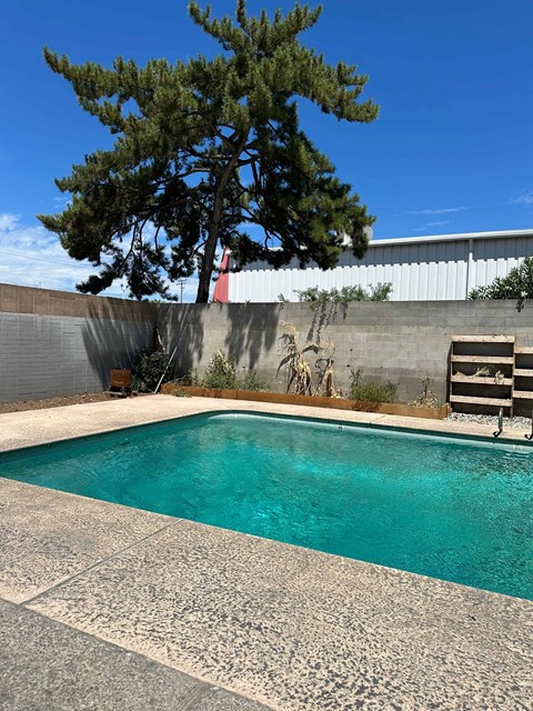 A pool with a tree in the background.