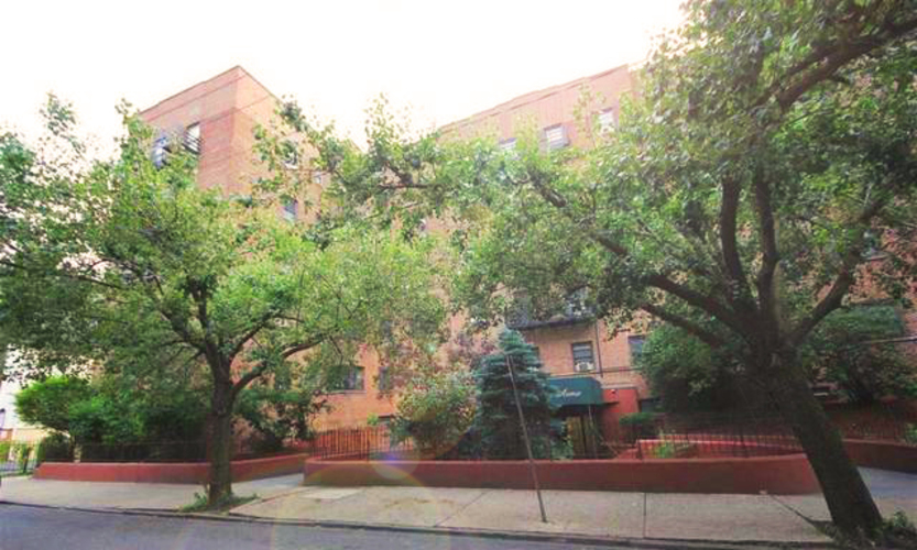 A tree in front of a building.