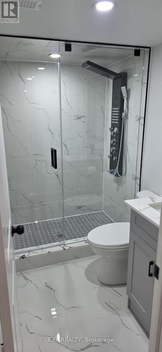 A bathroom with a walk-in shower and a toilet.