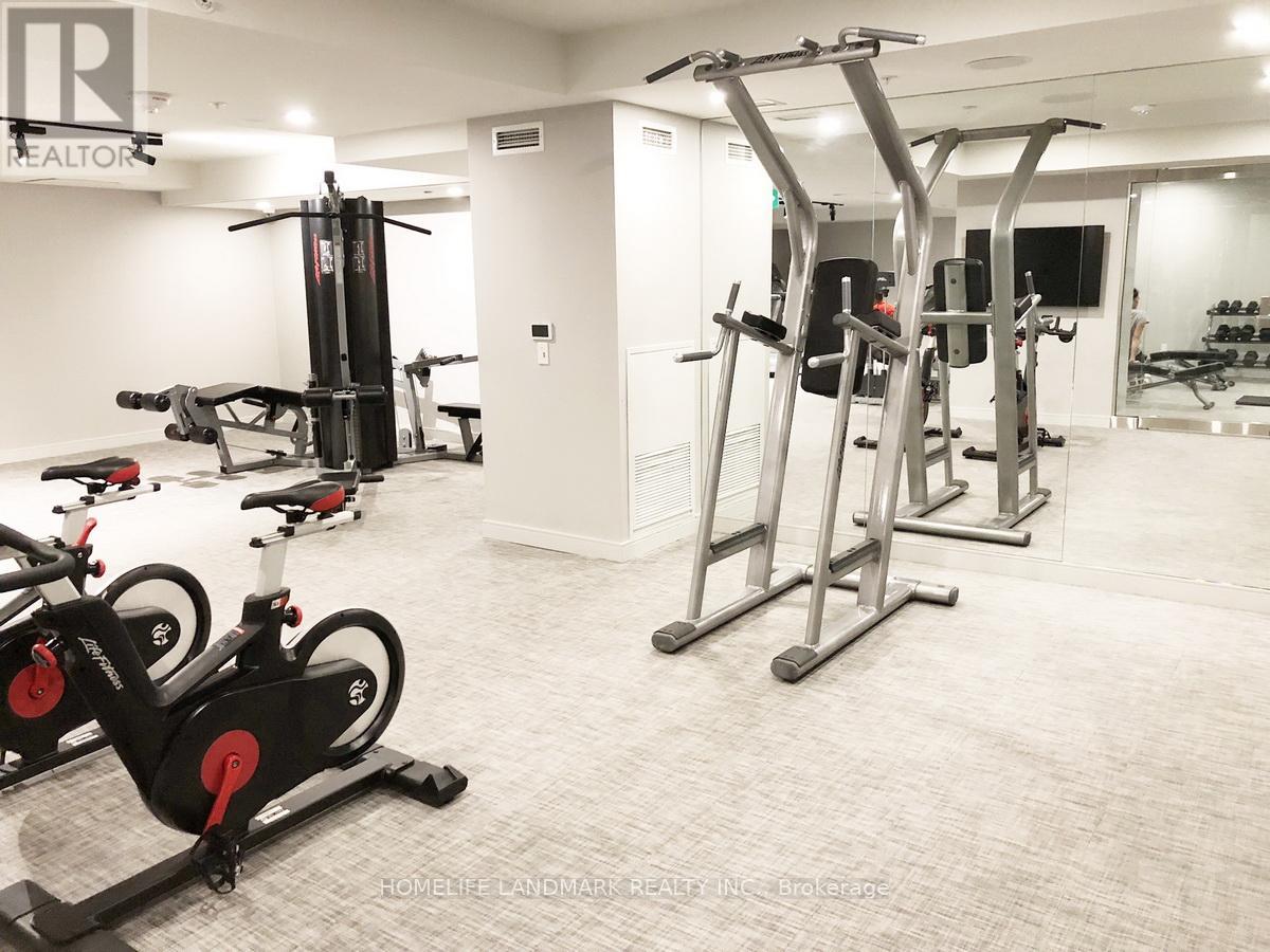 A gym with a row of exercise bikes and a row of pull up bars.