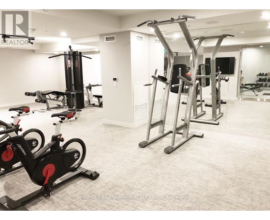 A gym with a row of exercise bikes and a row of pull up bars.
