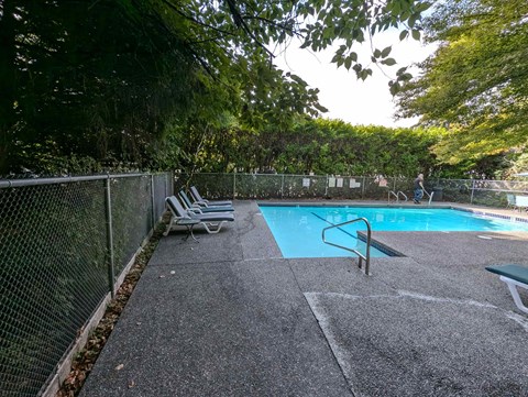 A pool surrounded by a fence and trees.