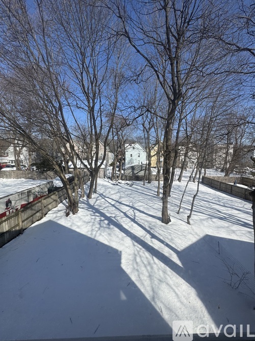 A snow-covered ground with trees and a building in the background.