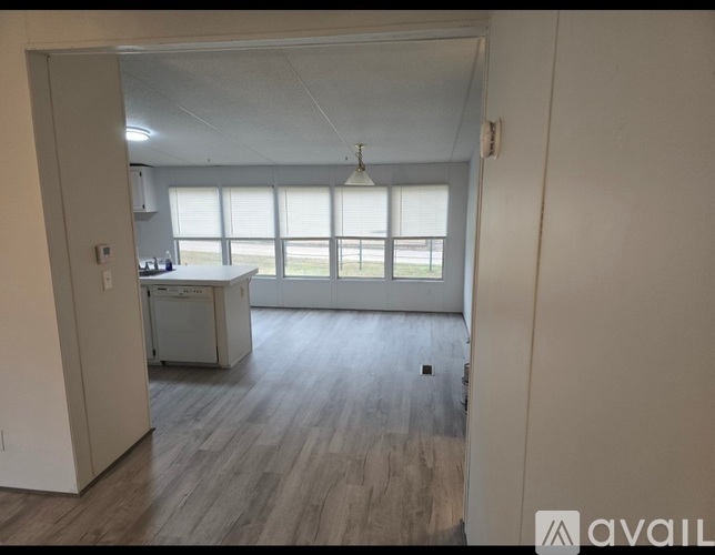 A kitchen with a dishwasher and a refrigerator.