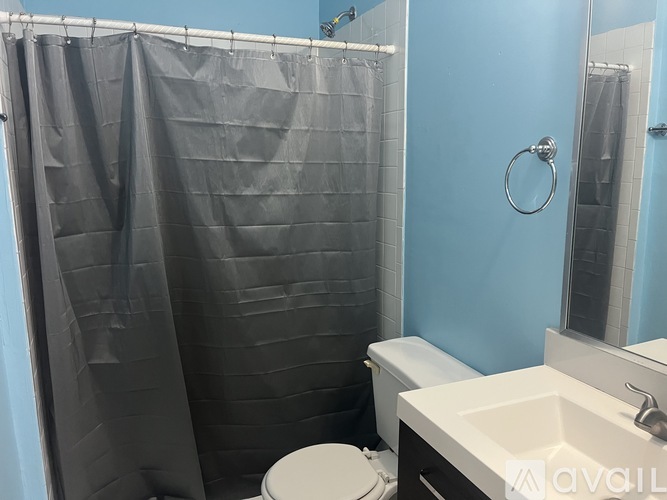 A bathroom with a toilet, sink, and shower curtain.