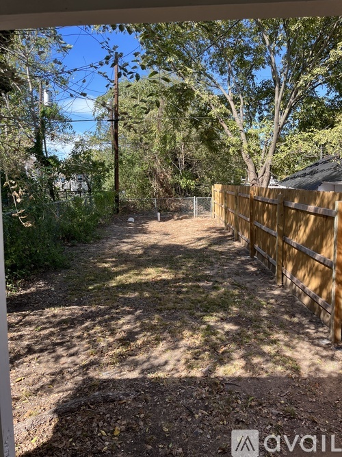 A backyard with a wooden fence and trees.