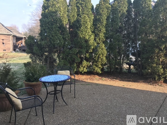 A patio with a table and chairs surrounded by trees.