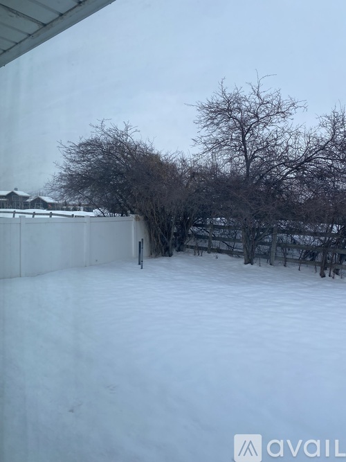 A snow-covered landscape with a fence and trees.