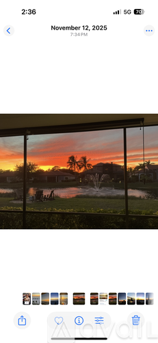A sunset view from a balcony with palm trees.