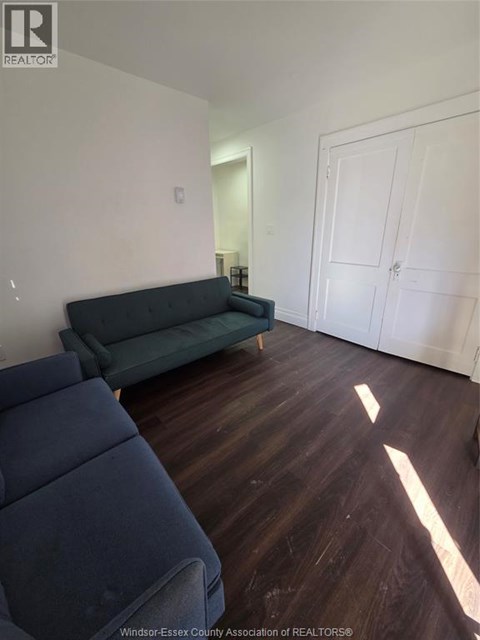 A living room with a dark blue couch and a green couch.