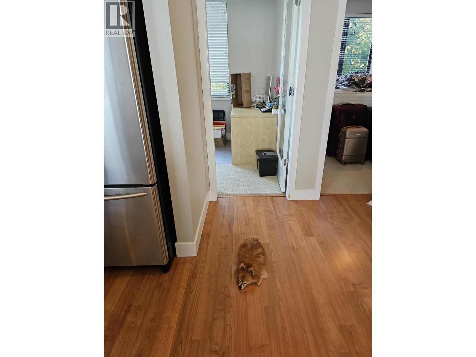 A dog is lying on the floor in a kitchen.