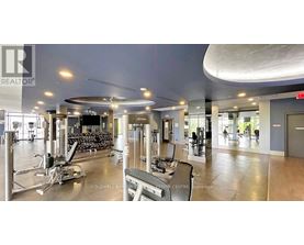 A gym with a variety of equipment including treadmills, weights and exercise machines.