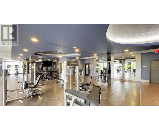 A gym with a variety of equipment including treadmills, weights and exercise machines.