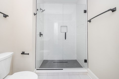 A white toilet sits next to a glass shower door in a bathroom.