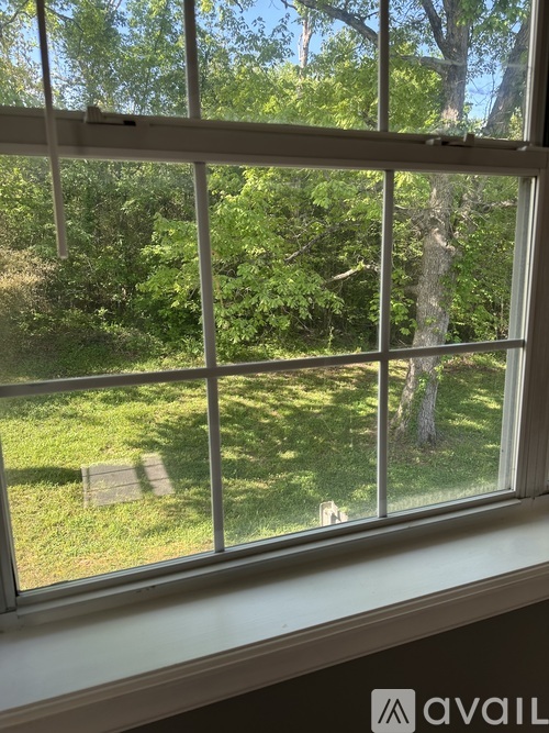 A window with a view of a green lawn and trees.