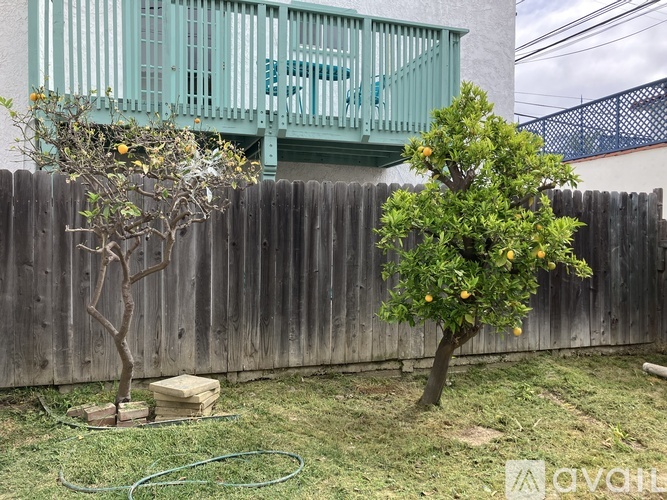 Two trees with fruit growing on them in a backyard.