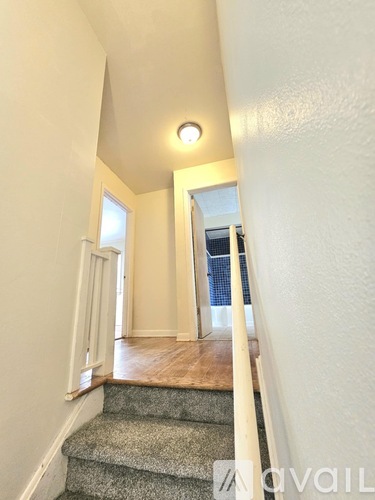 A stairway with a carpeted runner and wooden handrail.