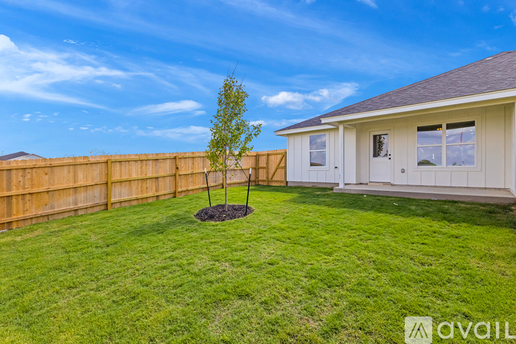 A small tree is planted in a backyard with a wooden fence.