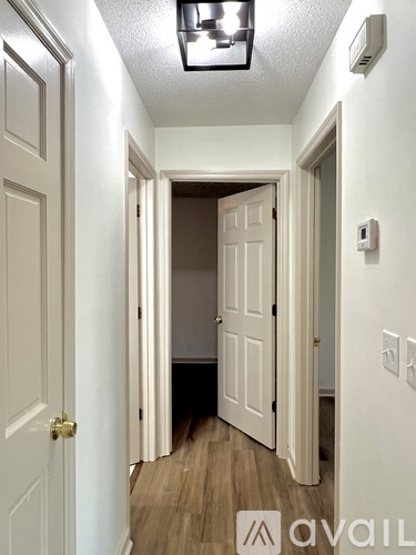 A hallway with a light on the ceiling and a door at the end.