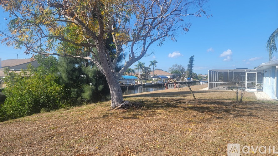 A tree with yellow leaves stands in a grassy area with a fence and buildings in the background.