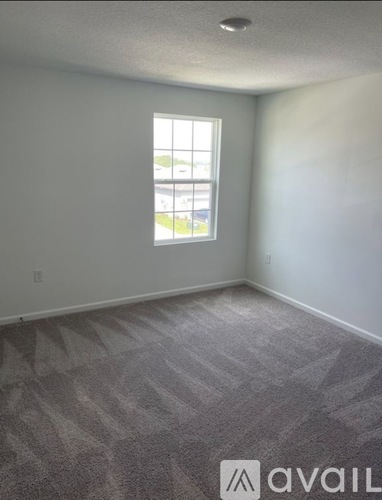 A room with a carpeted floor and a window.