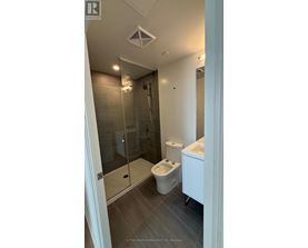 A bathroom with a walk-in shower and a toilet.
