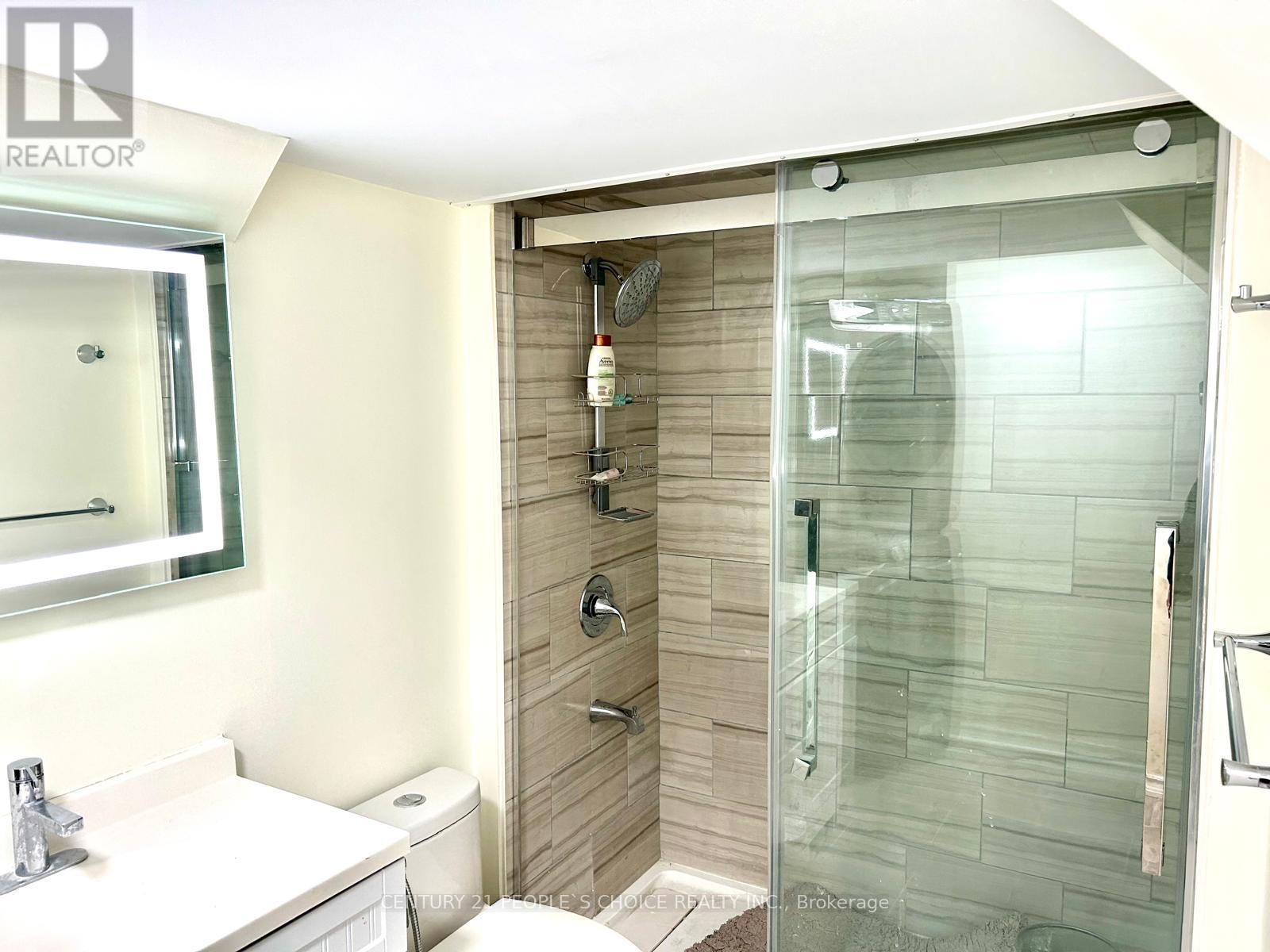 A bathroom with a walk in shower and a toilet.