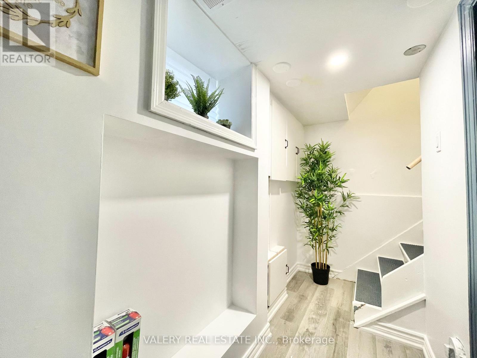 A potted plant sits on a wooden floor in a white hallway.