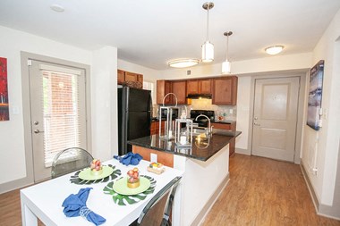 526 Centennial Olympic Park Drive 1-3 Beds Apartment for Rent - Photo Gallery 4