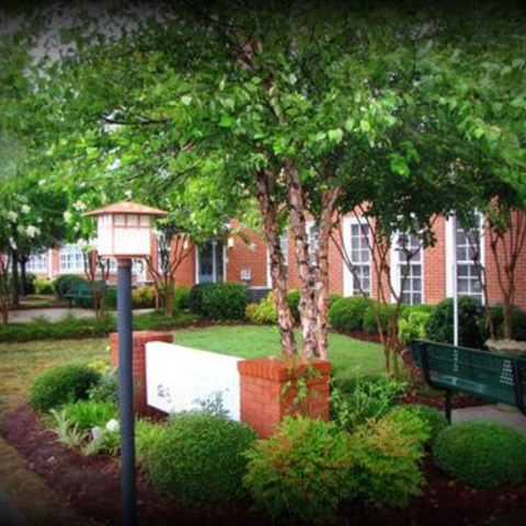 A tree in a garden in front of a building.