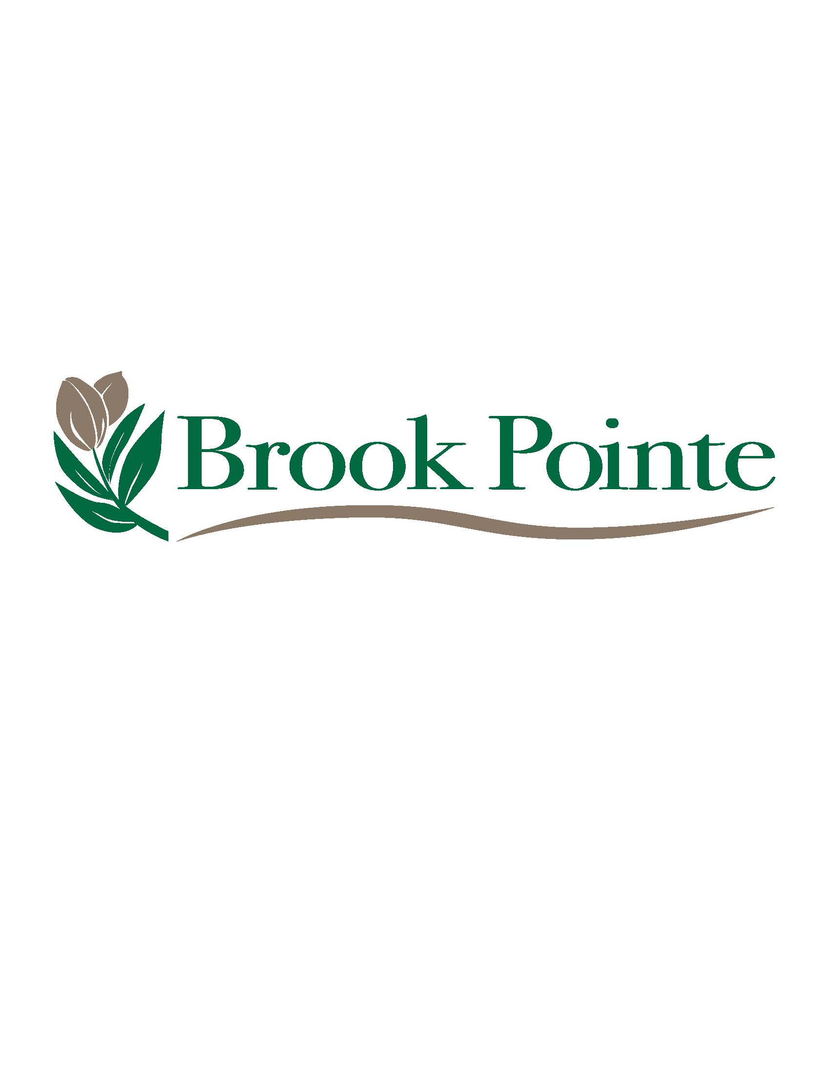 Brook Pointe logo