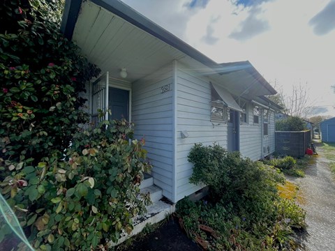 A house with a blue door and a white wall with a bush in front.