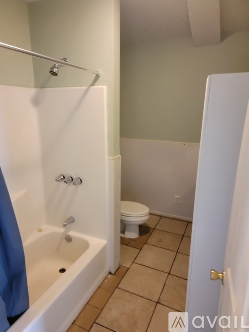 A bathroom with a toilet, tub, and shower.