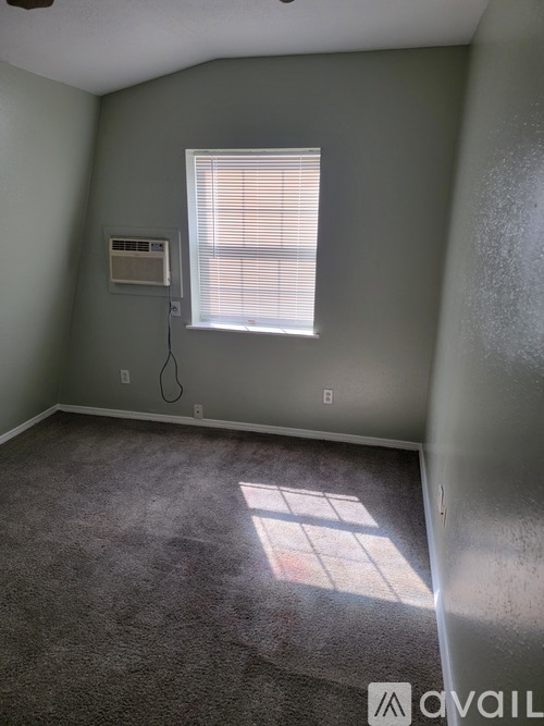 A room with a window and a carpet on the floor.