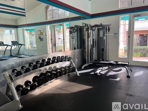 A gym with a row of dumbbells and a treadmill.