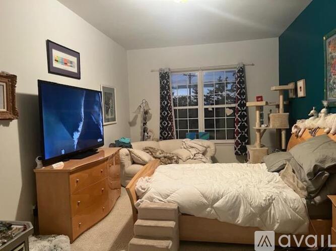 A bedroom with a bed, dresser, and television.